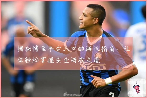 揭秘博鱼平台入口的避坑指南，让你轻松掌握安全游戏之道