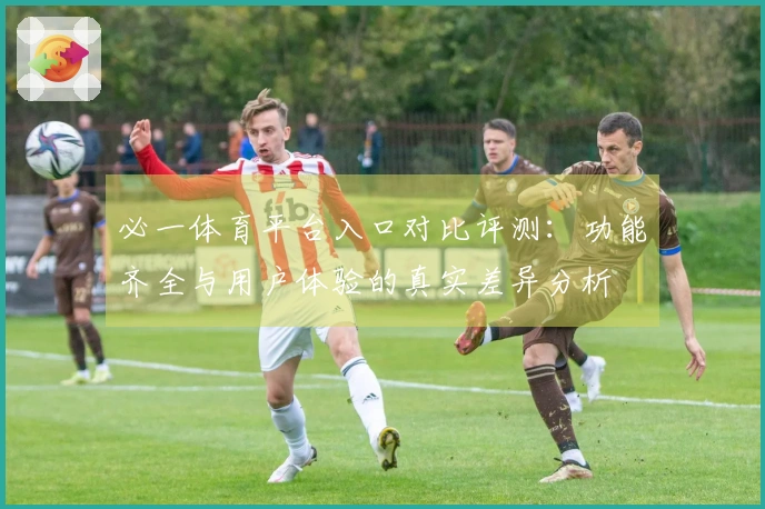 必一体育平台入口对比评测：功能齐全与用户体验的真实差异分析