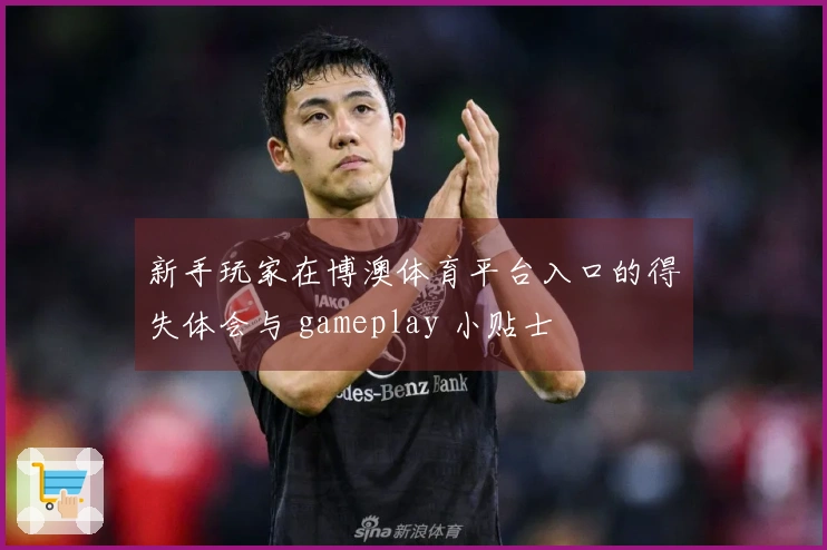新手玩家在博澳体育平台入口的得失体会与 gameplay 小贴士