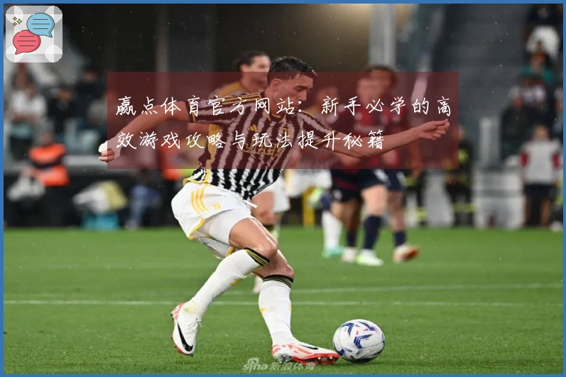 赢点体育官方网站：新手必学的高效游戏攻略与玩法提升秘籍